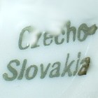 Czecho-Slovakia (mark green)