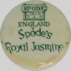 SPODE, Spode's " Royal Jasmine" (mark green)