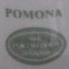 Portmeirion - Pomona (mark green)
