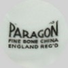 Paragon ( mark black)