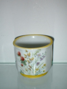 Porcelana Rose (mark green 2007-2008)